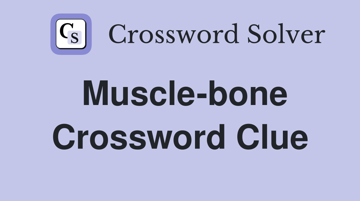 Muscle-bone Crossword Clue