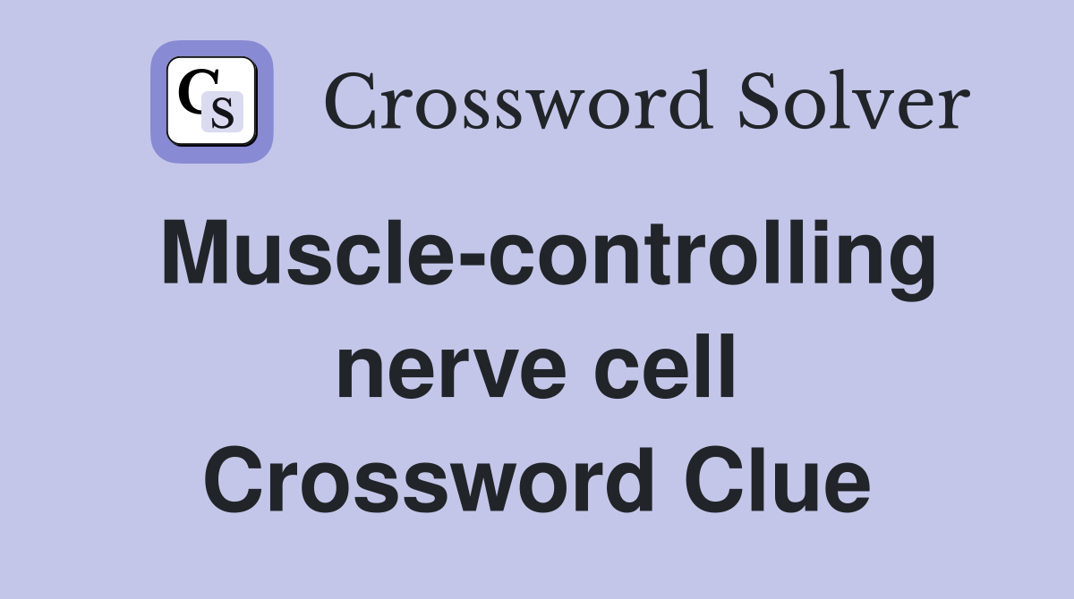 Muscle-controlling nerve cell Crossword Clue