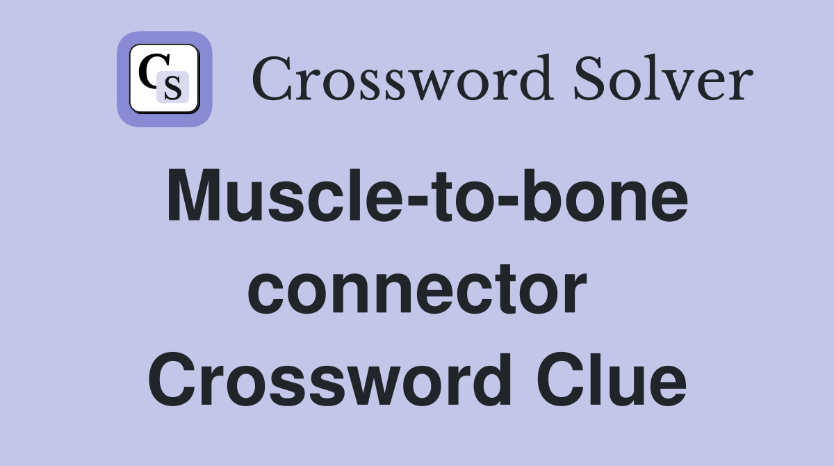 Muscle-to-bone connector Crossword Clue