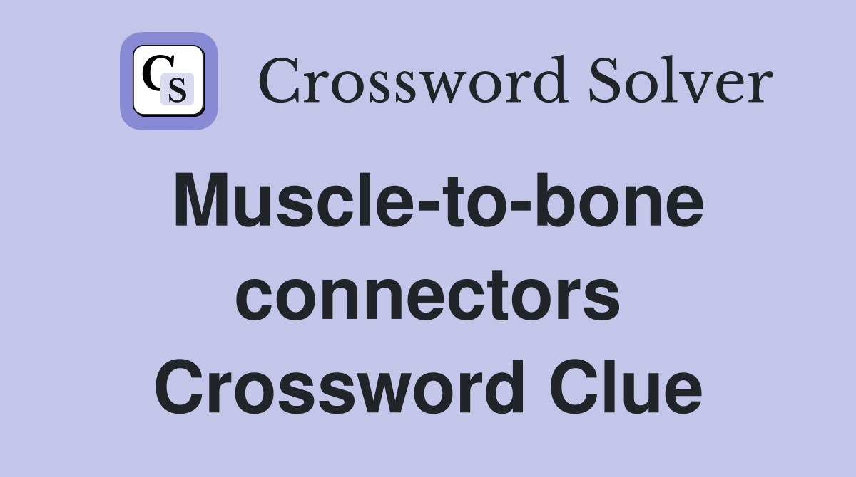 Muscle-to-bone connectors Crossword Clue