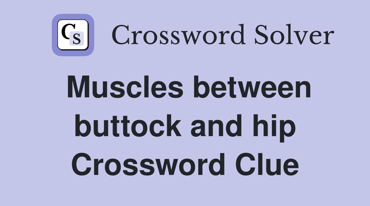 Muscles between buttock and hip Crossword Clue