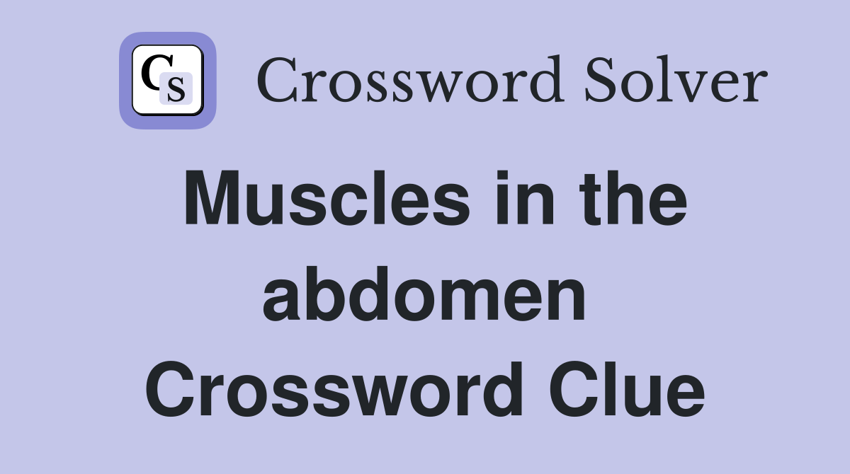 Muscles in the abdomen Crossword Clue
