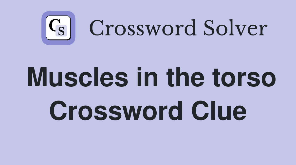 Muscles in the torso Crossword Clue