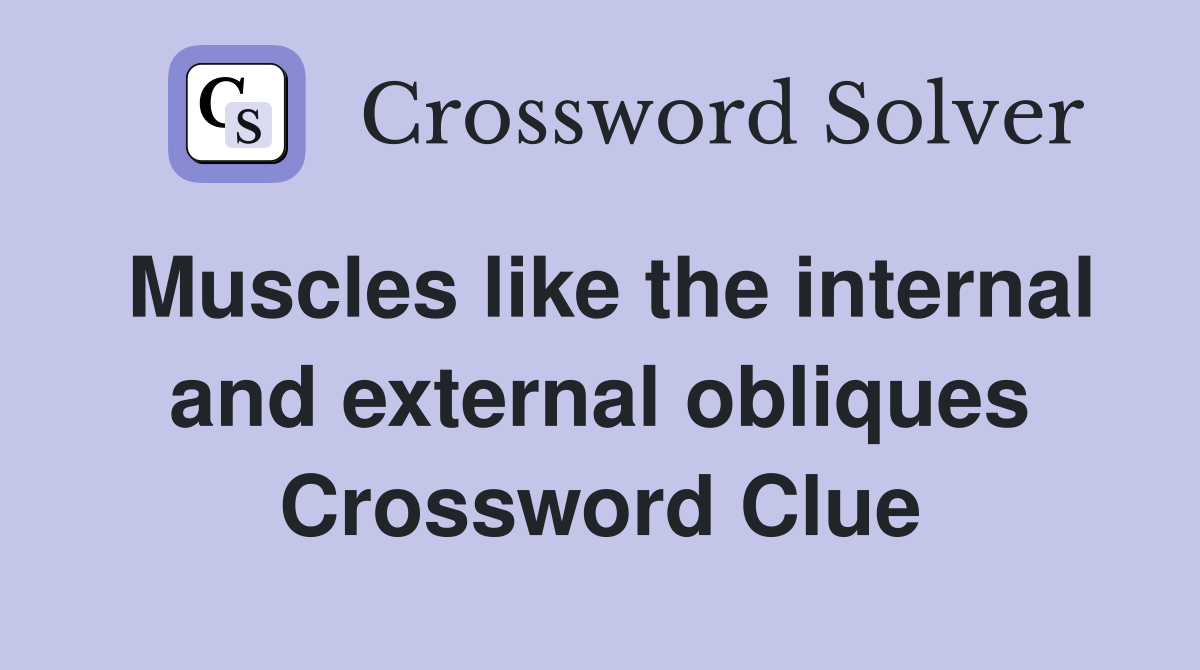 Muscles like the internal and external obliques Crossword Clue