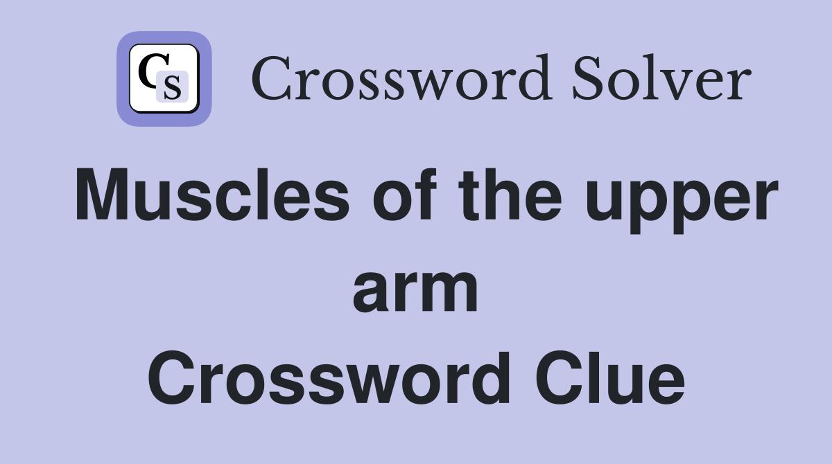 Muscles of the upper arm Crossword Clue