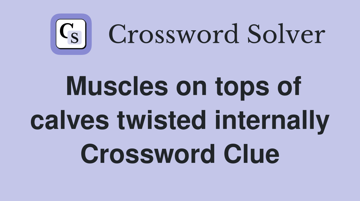 Muscles on tops of calves twisted internally Crossword Clue