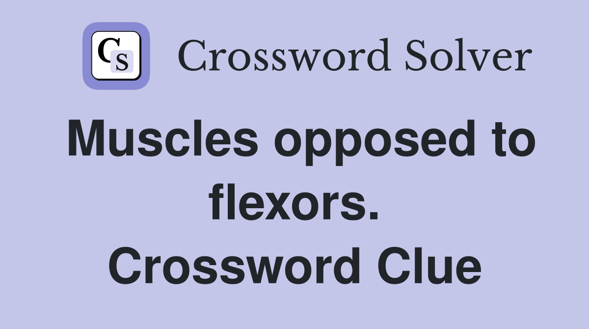 Muscles opposed to flexors. Crossword Clue