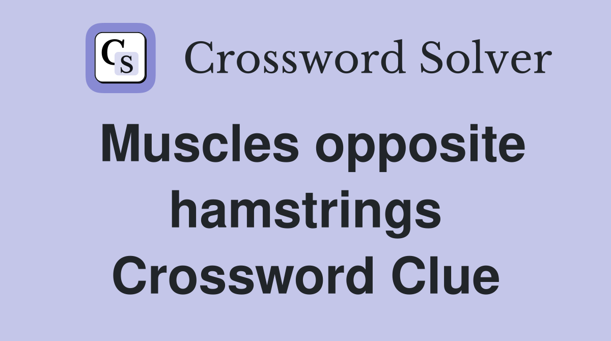 Muscles opposite hamstrings Crossword Clue