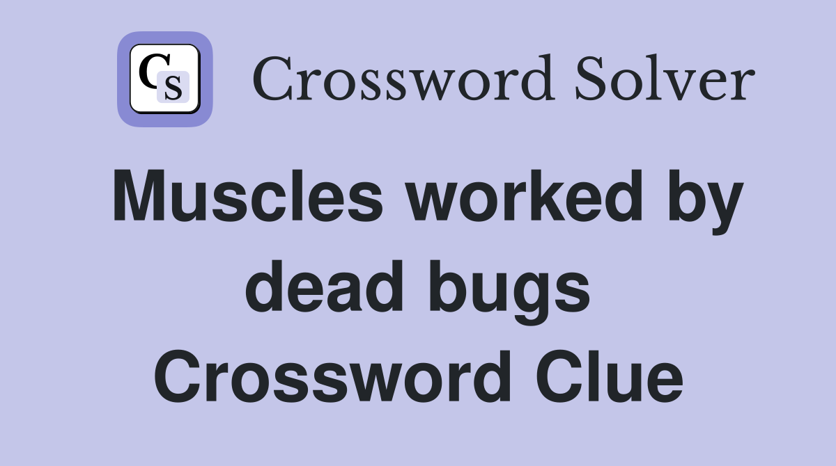 Muscles worked by dead bugs Crossword Clue