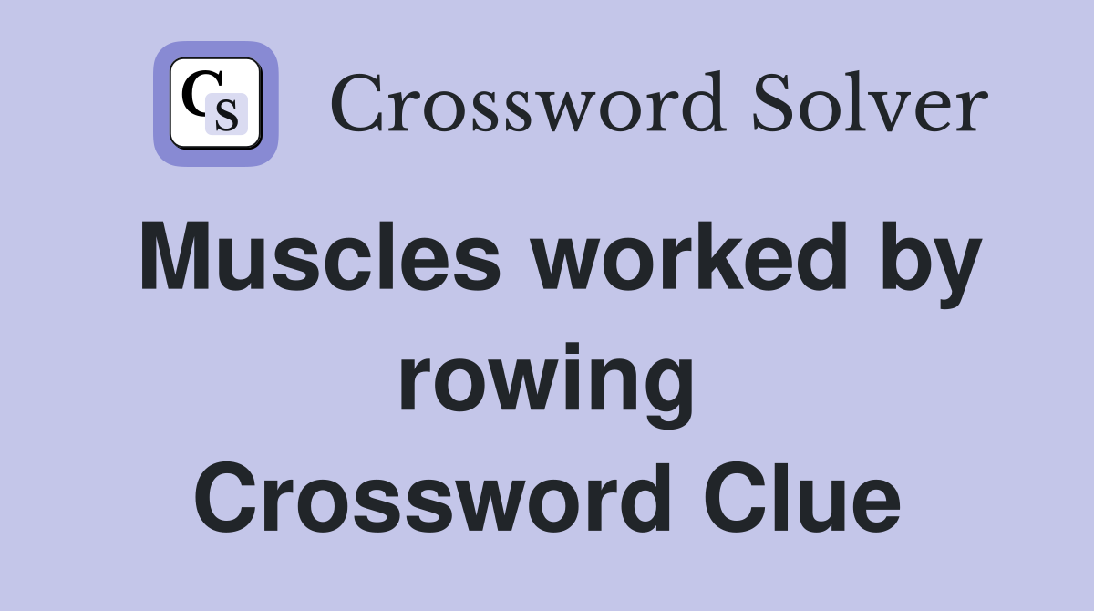 Muscles worked by rowing Crossword Clue