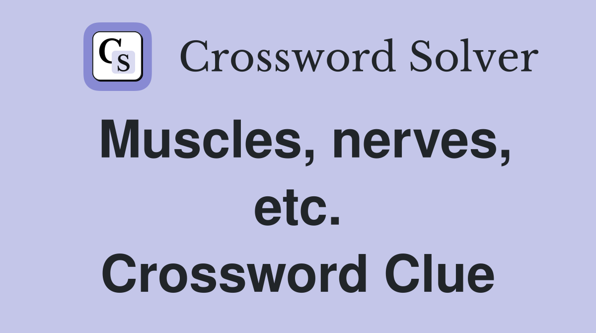 Muscles, nerves, etc. Crossword Clue