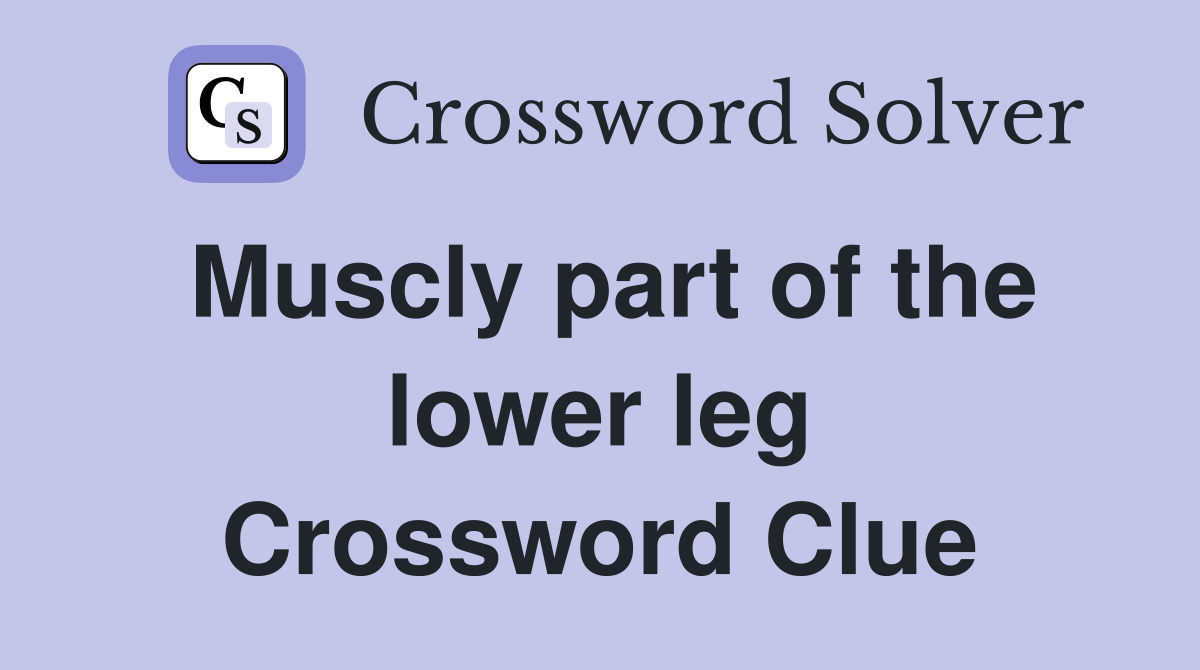 Muscly part of the lower leg Crossword Clue
