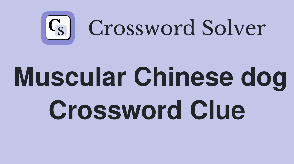 Muscular Chinese dog Crossword Clue