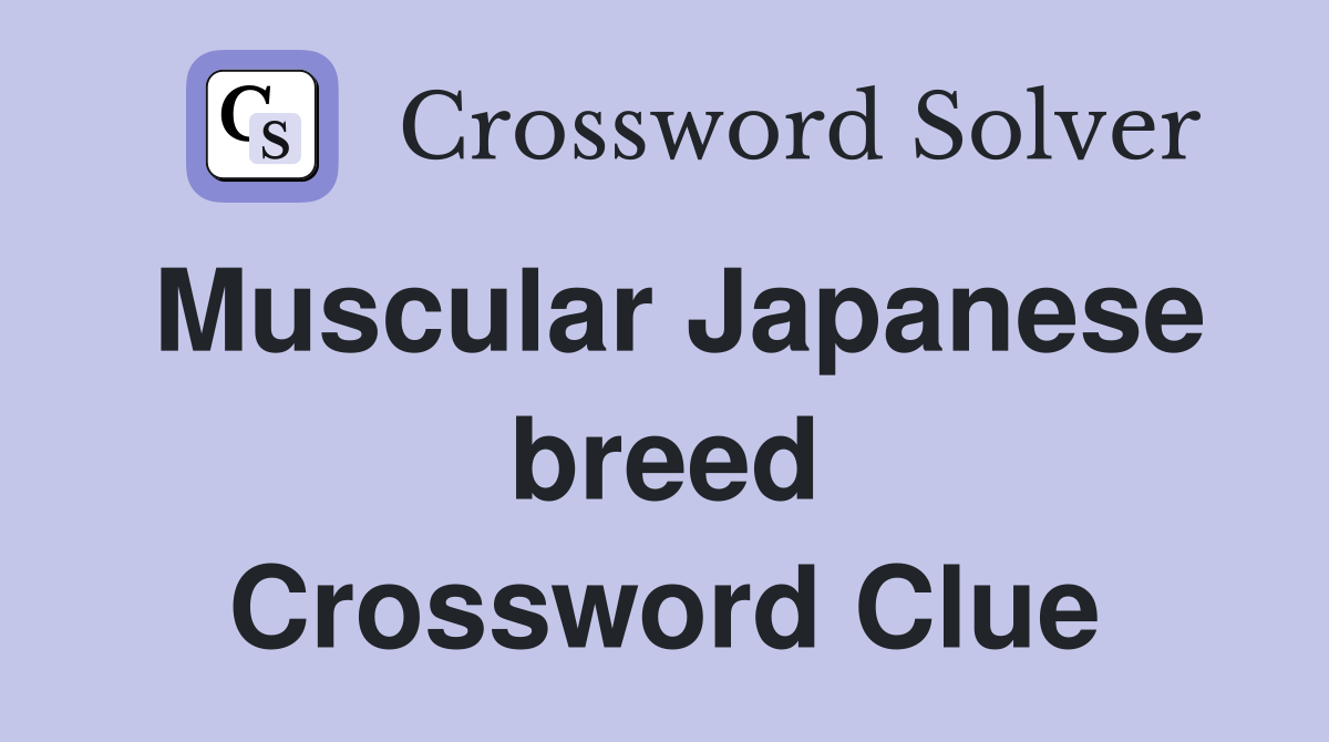 Muscular Japanese breed Crossword Clue