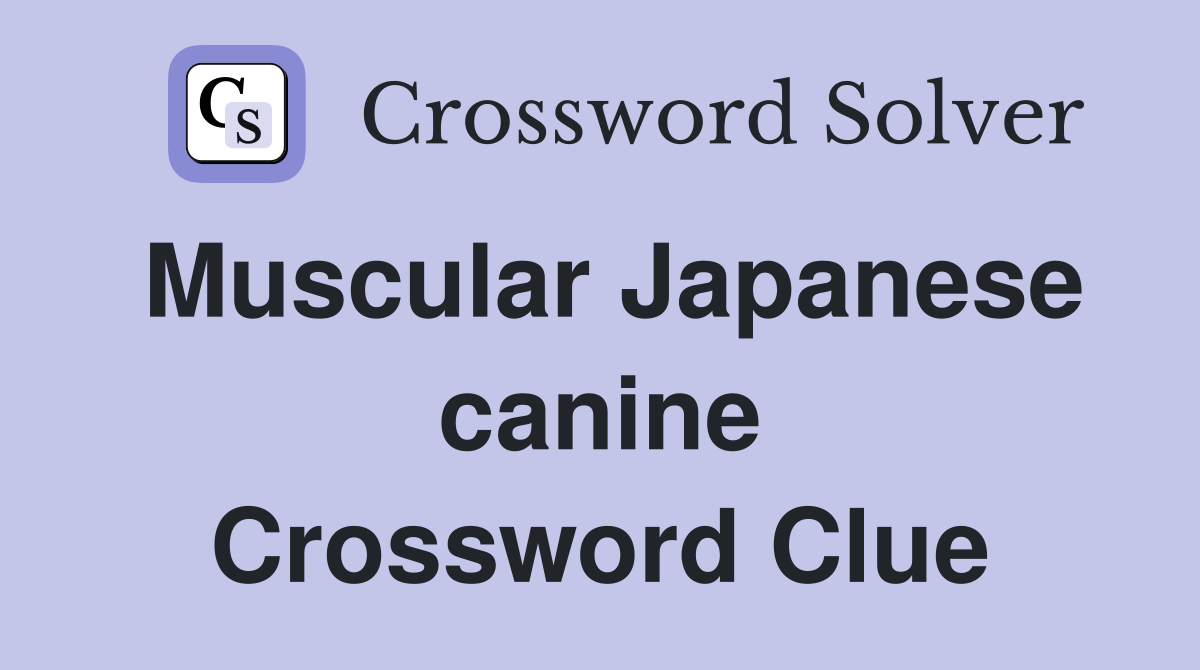 Muscular Japanese canine Crossword Clue