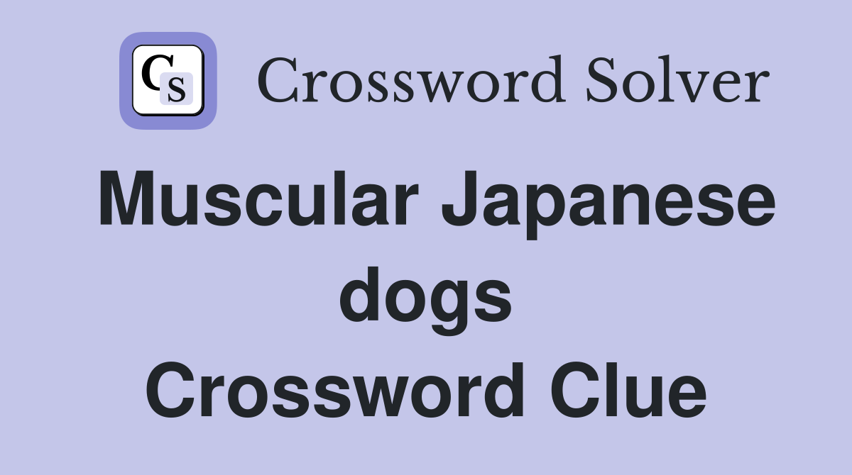 Muscular Japanese dogs Crossword Clue