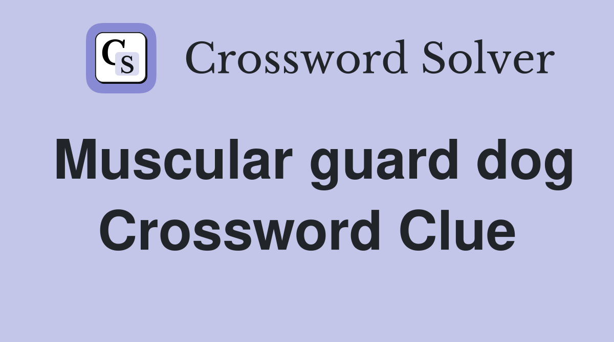 Muscular guard dog Crossword Clue