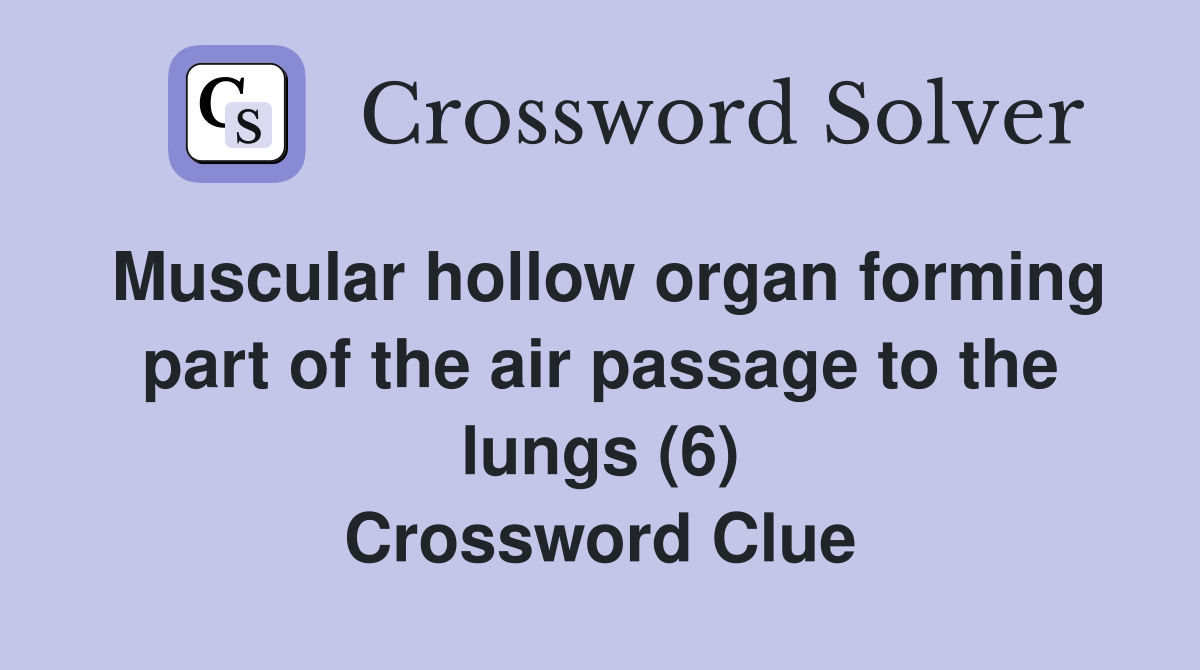 Muscular hollow organ forming part of the air passage to the lungs (6) Crossword Clue