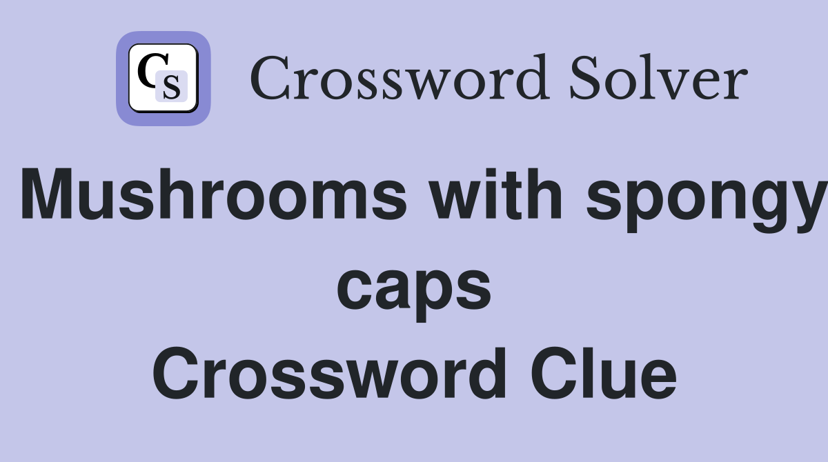 Mushrooms with spongy caps Crossword Clue