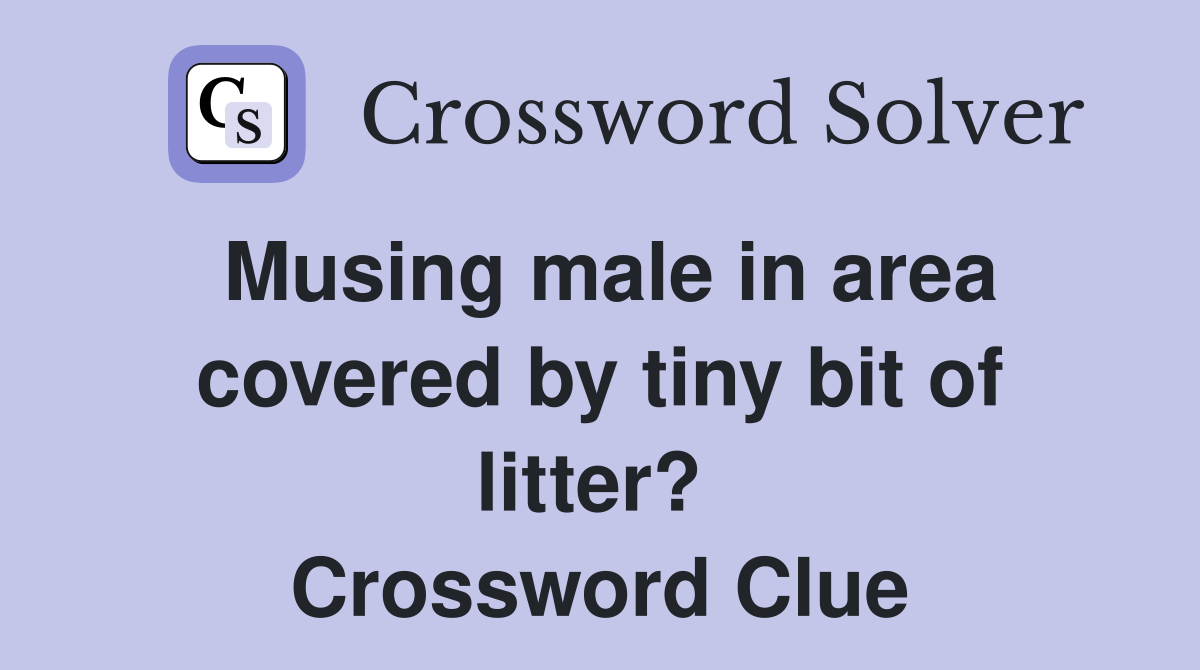 Musing male in area covered by tiny bit of litter?  Crossword Clue