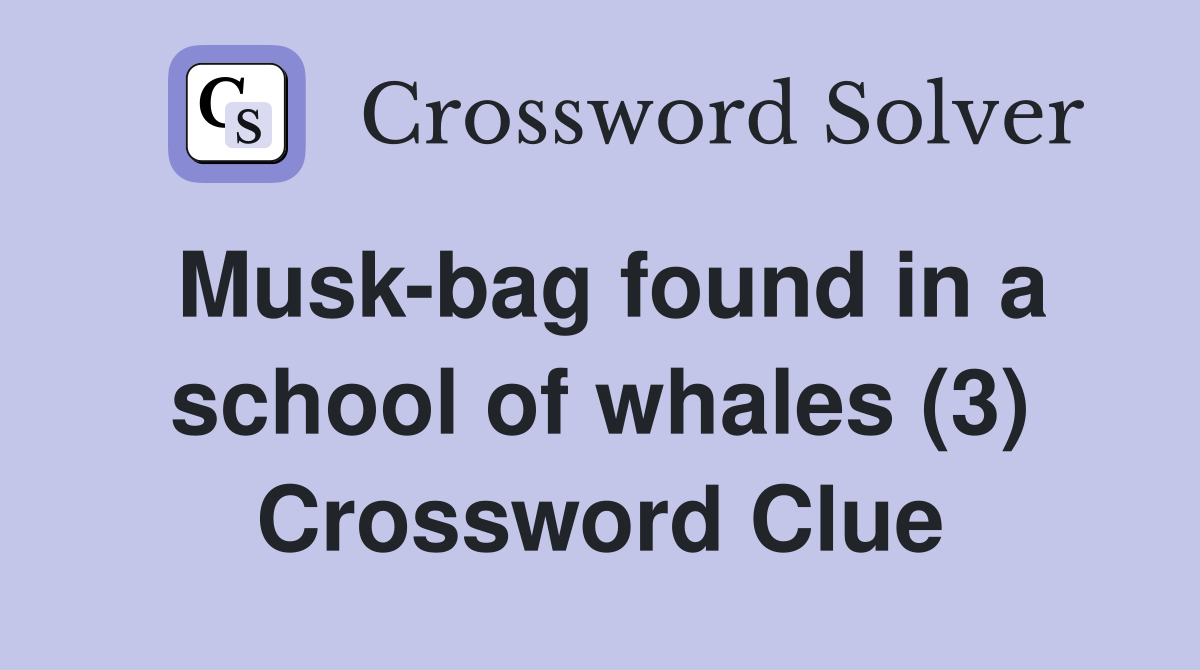Musk-bag found in a school of whales (3) Crossword Clue
