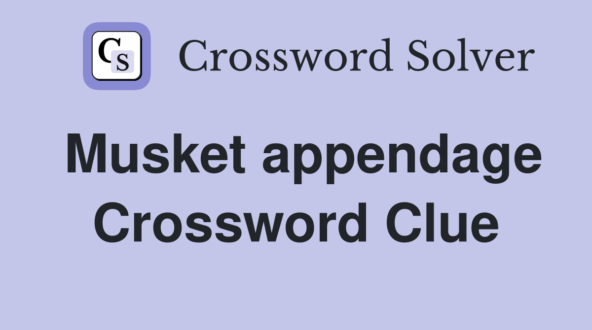 Musket appendage Crossword Clue