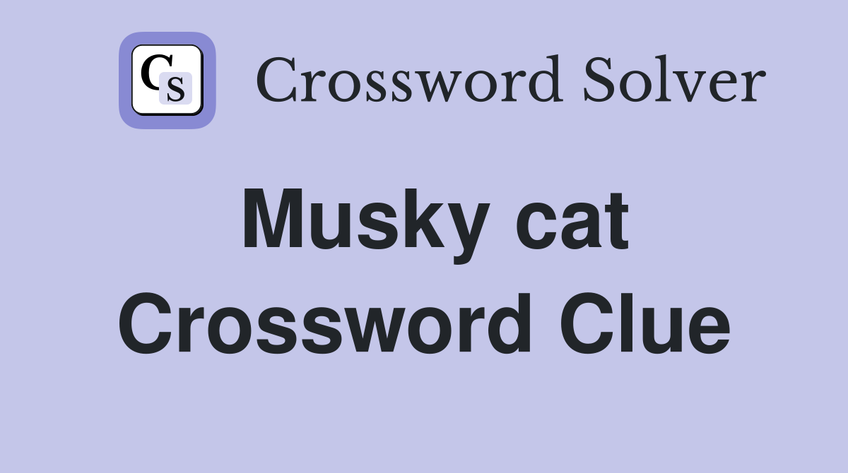 Musky cat Crossword Clue