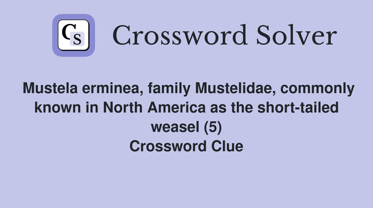 Mustela erminea, family Mustelidae, commonly known in North America as the short-tailed weasel (5) Crossword Clue