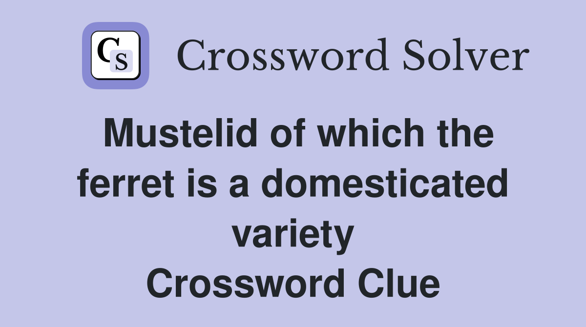 Mustelid of which the ferret is a domesticated variety Crossword Clue