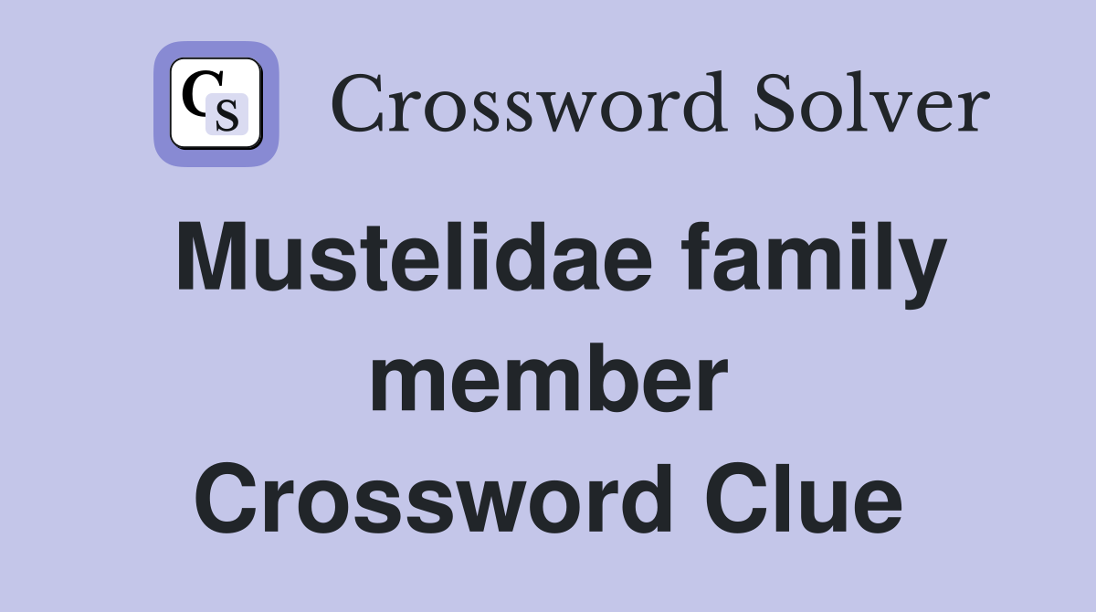 Mustelidae family member Crossword Clue