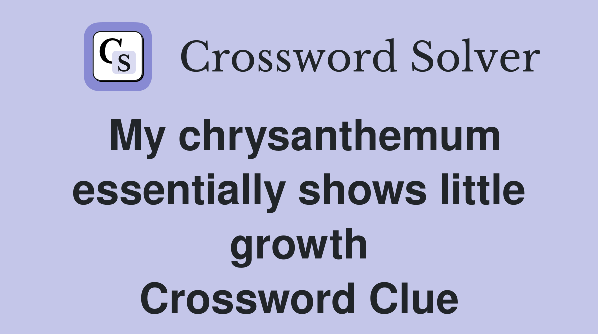 My chrysanthemum essentially shows little growth Crossword Clue