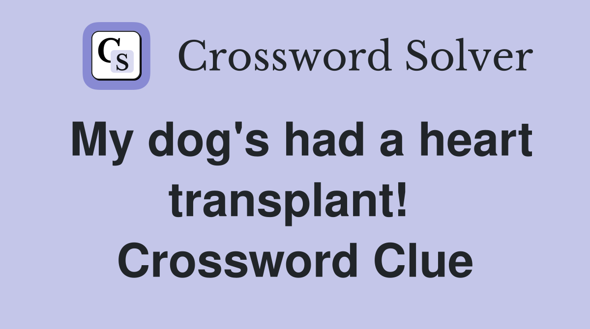 My dog's had a heart transplant!  Crossword Clue