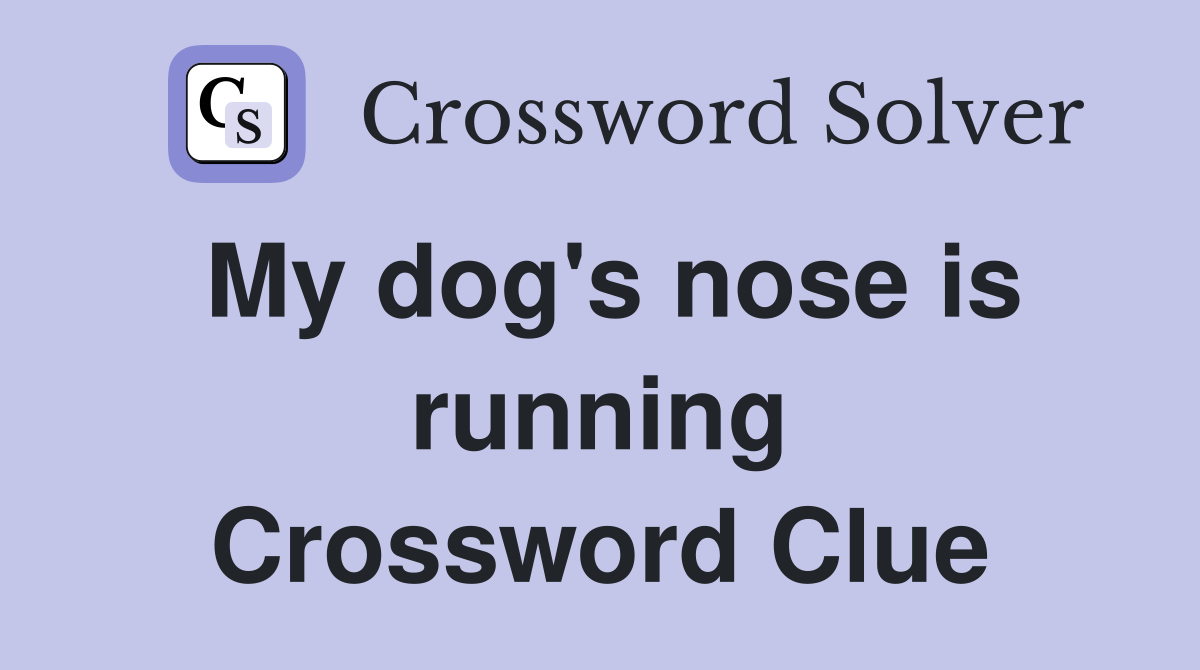 My dog's nose is running Crossword Clue