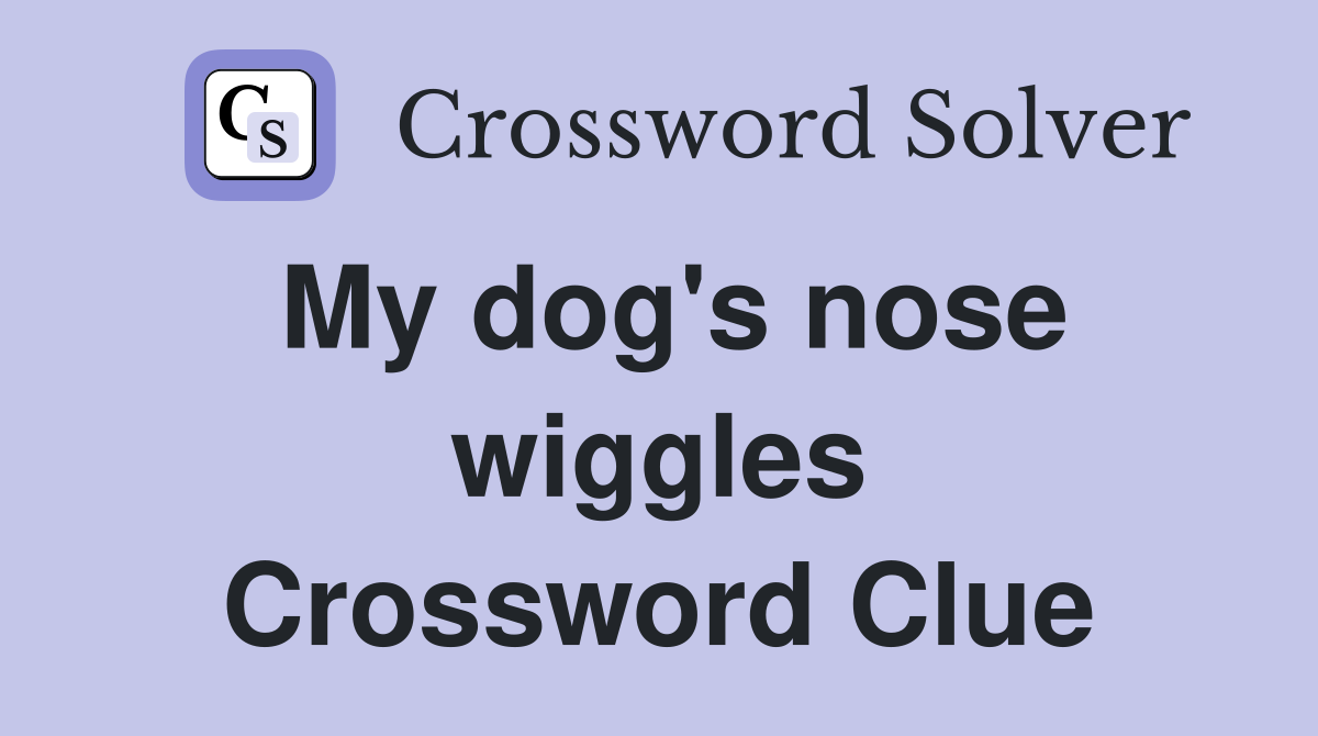 My dog's nose wiggles Crossword Clue