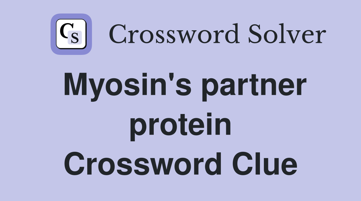 Myosin's partner protein Crossword Clue
