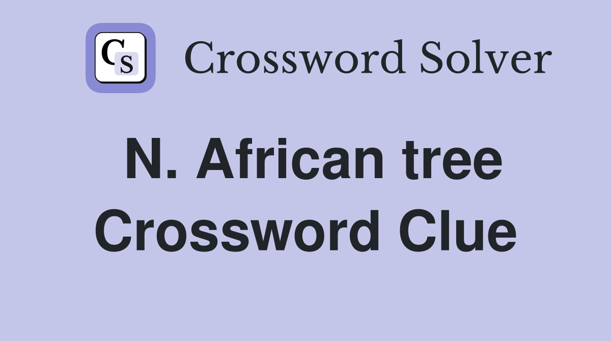 N. African tree Crossword Clue