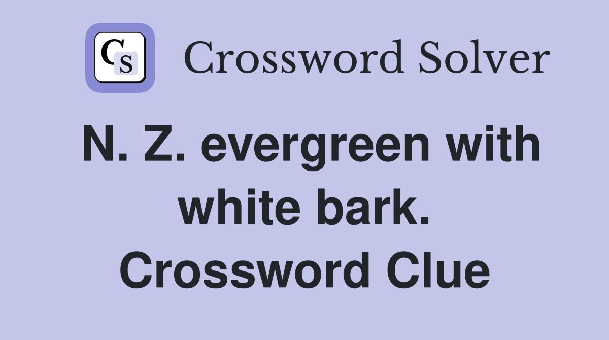 N. Z. evergreen with white bark. Crossword Clue