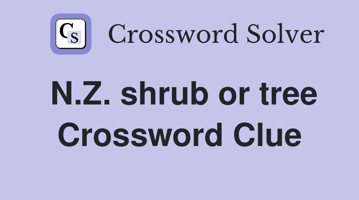 N.Z. shrub or tree Crossword Clue
