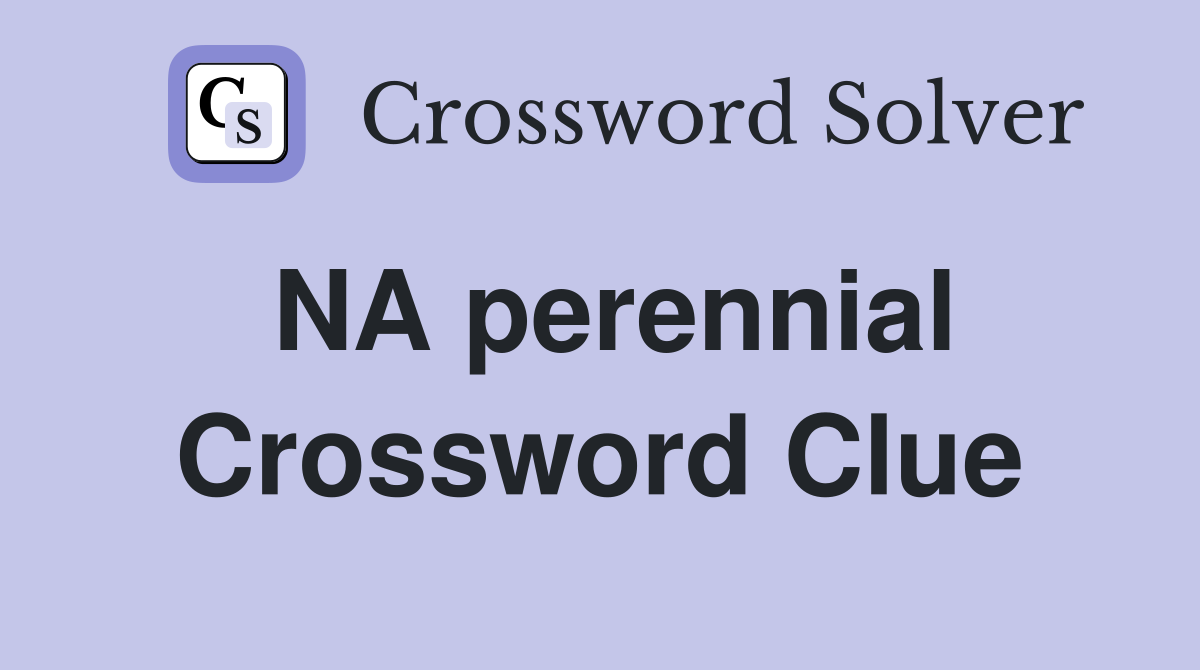NA perennial Crossword Clue