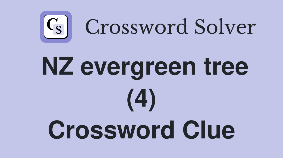 NZ evergreen tree (4) Crossword Clue