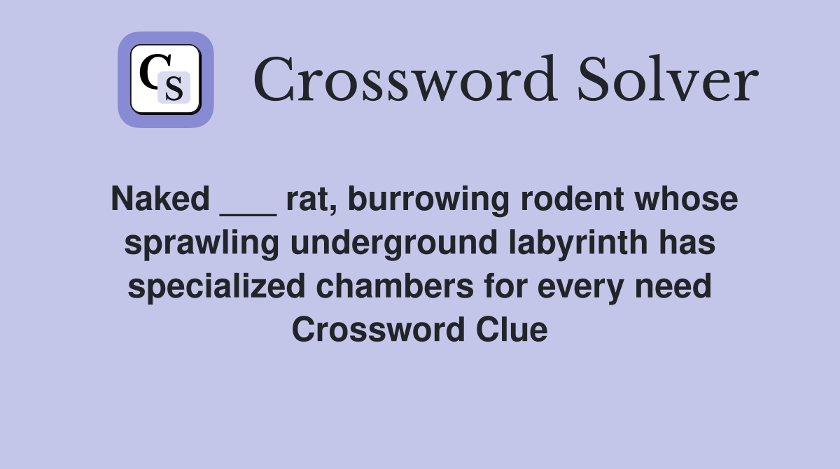 Naked ___ rat, burrowing rodent whose sprawling underground labyrinth has specialized chambers for every need Crossword Clue