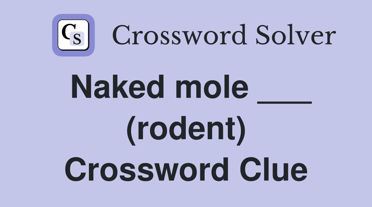 Naked mole ___ (rodent) Crossword Clue