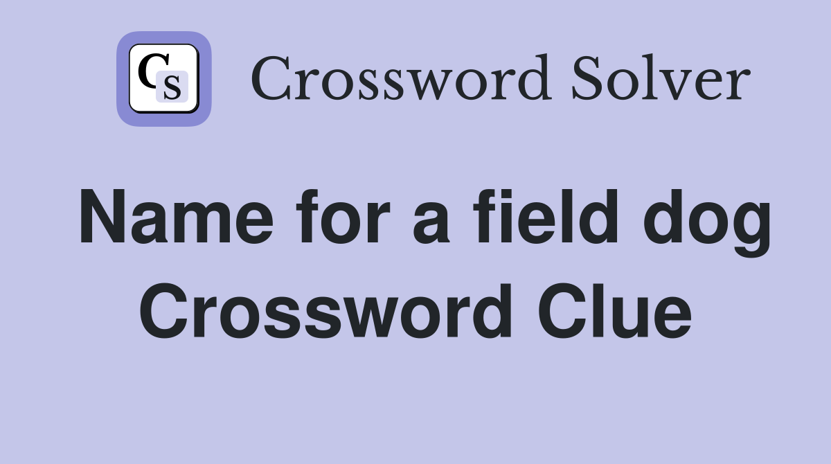Name for a field dog Crossword Clue