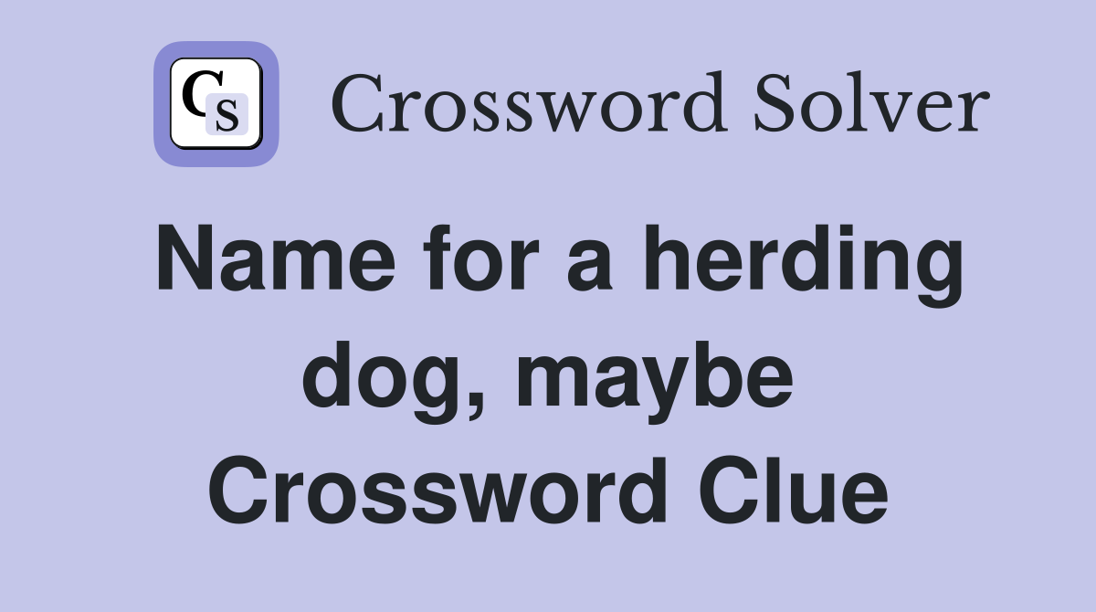 Name for a herding dog, maybe Crossword Clue
