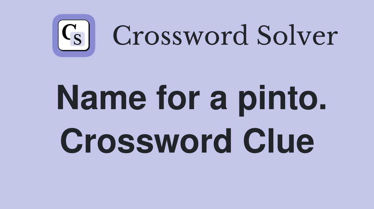 Name for a pinto. Crossword Clue