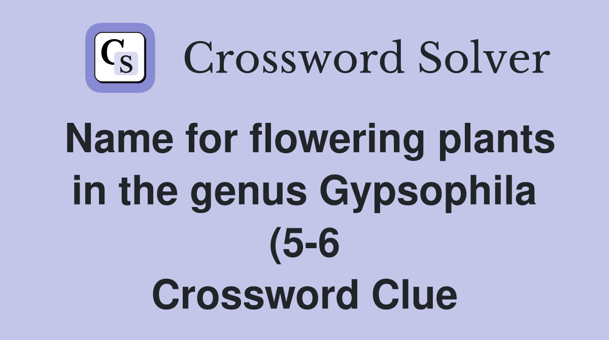 Name for flowering plants in the genus Gypsophila (5 6) Crossword Name for flowering plants in the genus Gypsophila (5 6) Crossword