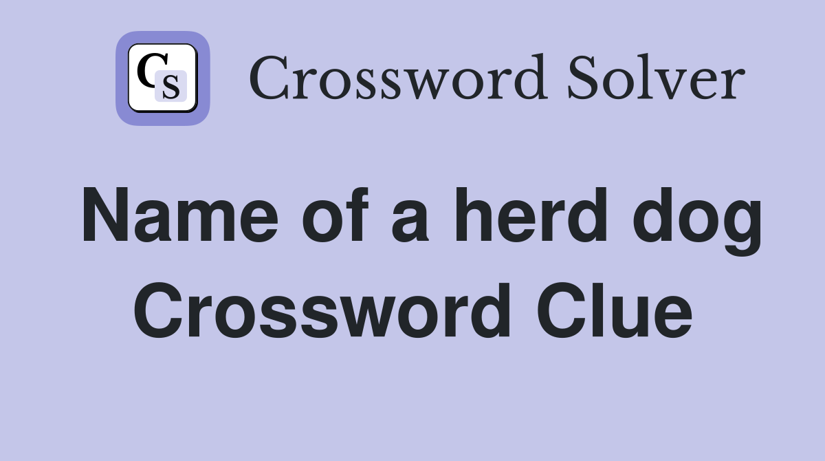 Name of a herd dog Crossword Clue