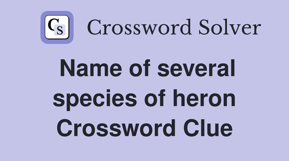 Name of several species of heron Crossword Clue