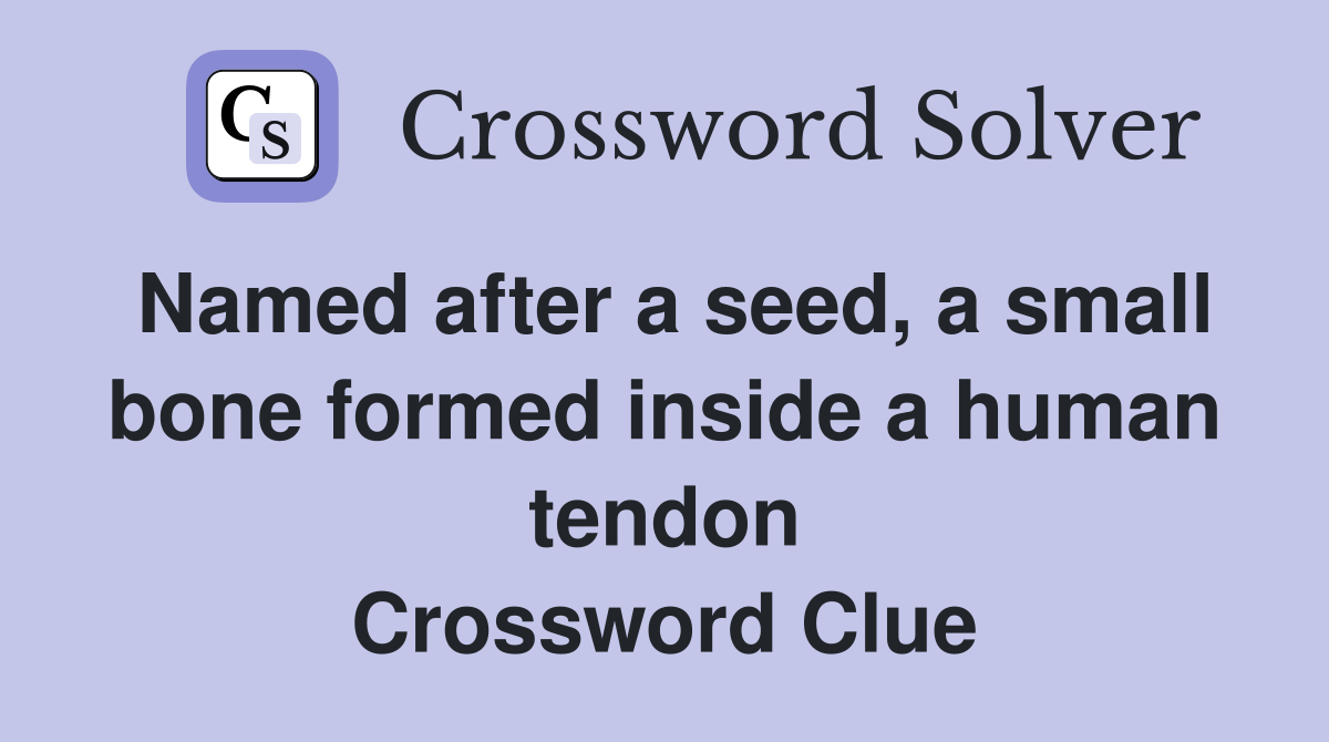 Named after a seed, a small bone formed inside a human tendon Crossword Clue