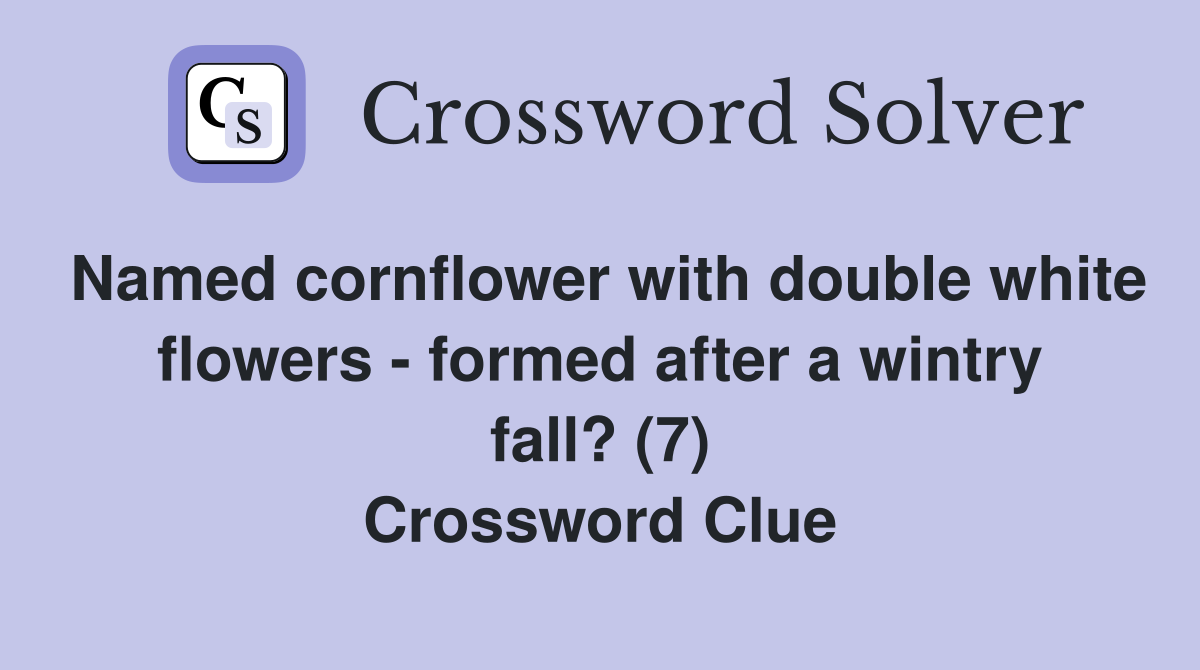 Named cornflower with double white flowers - formed after a wintry fall? (7) Crossword Clue